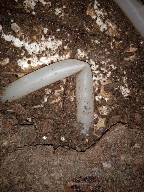 木兰堵点精准查找